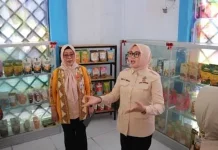 Sentra IKM Kendari Jadi Ruang Pengembangan Usaha Lokal