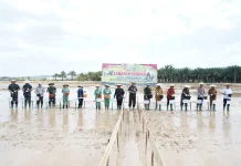 Pangdam XIV/Hasanuddin Tanam Perdana dan Resmikan Jembatan di Konawe