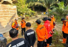 SAR Gabungan Kembali Melanjutkan Pencarian Korban Hilang di Hutan Wonggeduku