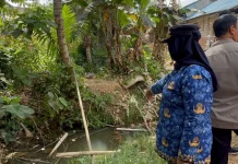 Pemkot Kendari Klarifikasi Jembatan Bambu di Wundumbatu
