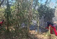 Damkar-Mat Konawe Selatan apresiasi Unsur Penanganan Karhutla di Konsel