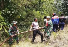Babinsa dan Tim Gabungan Padamkan Karhutla di Konawe