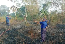 Babinsa dan Tim Gabungan Padamkan Kebakaran Lahan di Desa Puosu Jaya