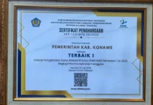 Pemkab Konawe Raih Penghargaan Kinerja Pengelolaan DAK