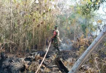 TNI-Polri, Damkar dan Warga Padamkan Karhutla di Lalowiu