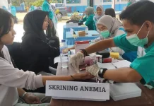 Cegah Stunting, Pemprov Sultra Perkuat Edukasi Kesehatan Remaja
