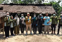 Dinas Peternakan dan Kesehatan Hewan Konawe Cegah Penyakit Hewan Sapi