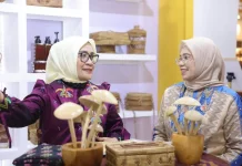 Dekranasda Koltim Promosikan Kerajinan Lokal di Kriyanusa 2026