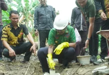 Peletakan Batu Pertama Pembangunan Masjid Amirul Mukminin Kalu Kaluku Kolut