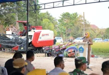 Pemkot Kendari Dorong Kawasan Amohalo Jadi Kawasan Agro Wisata