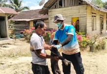 Konawe Tingkatkan Pencegahan Rabies melalui Pelayanan Vaksinasi Rabies