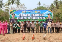Sinergi Lintas Sektor Bombana Perkuat Penanganan Jagung Kuartal IV 2026