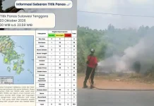 183 Hotspot Terdeteksi di 15 Wilayah Sultra