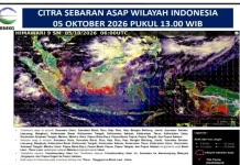Perkembangan Sebaran Asap di wilayah Provinsi Sultra
