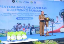 Bantuan Beras 30 Kg untuk KPM, Menko Pangan Dorong Stabilitas Harga