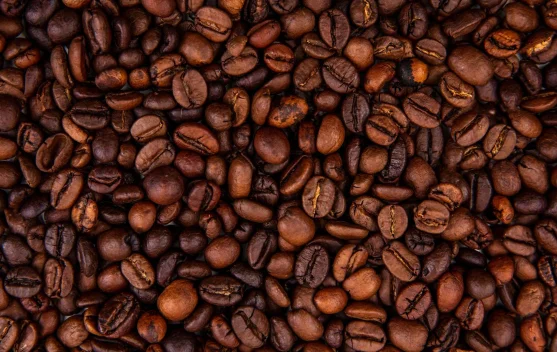 Hari Kopi Nasional Momentum Bangkitkan Kopi Nusantara