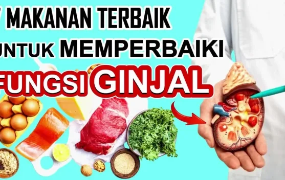 Makanan untuk Memperbaiki Fungsi Ginjal