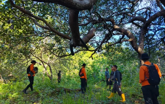 Selama Sepekan tak Ditemukan, SAR Gabungan Hentikan Pencarian Korban di Busel