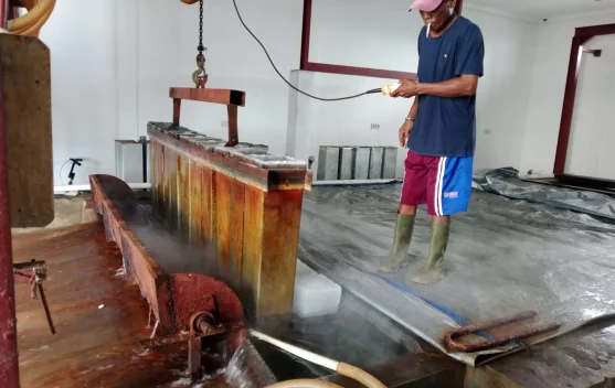 Pabrik Es Tomia Bantu Nelayan Jaga Hasil