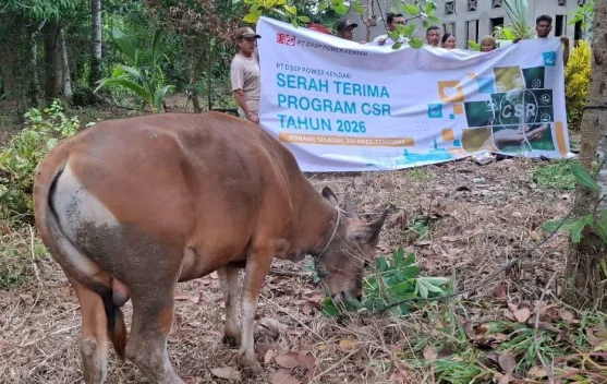 PT DSSP Power Kendari Salurkan Hewan Kurban di Desa Tanjung Tiram dan Desa Wawatu