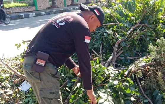 Pemangkasan Pohon Rawan Tumbang Depan Kodim Kendari Dimulai