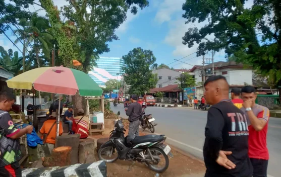 Kasat Pol PP Pastikan Keamanan Pemangkasan Pohon