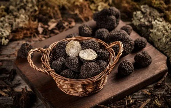 Truffle dan Pesonanya di Dunia Kuliner