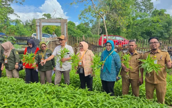 Camat Betoambari Dampingi Tim Penilai Lomba Pekarangan KEDAI