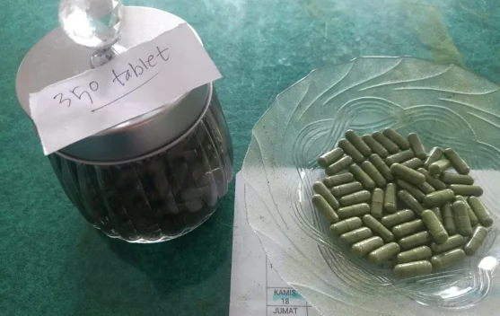 Dunia Tak Selebar Daun Kelor, Khasiatnya ternyata Mendunia