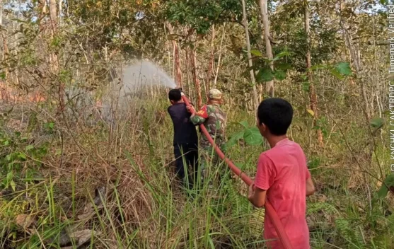 Cegah Api Meluas ke Pemukiman, Babinsa Bersama Warga Padamkan Kebakaran Lahan