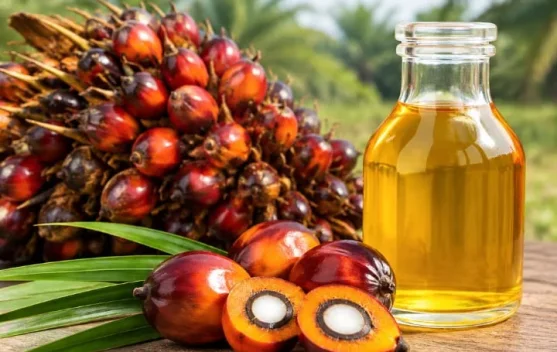 Indonesia Produsen Sawit Terbesar Dunia 2026-2027