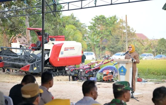 Pemkot Kendari Dorong Kawasan Amohalo Jadi Kawasan Agro Wisata