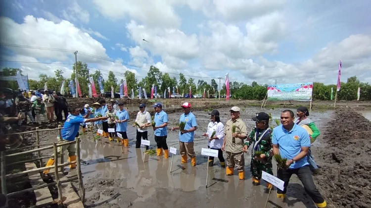 Gerakan Tanam Padi Dukung Swasembada