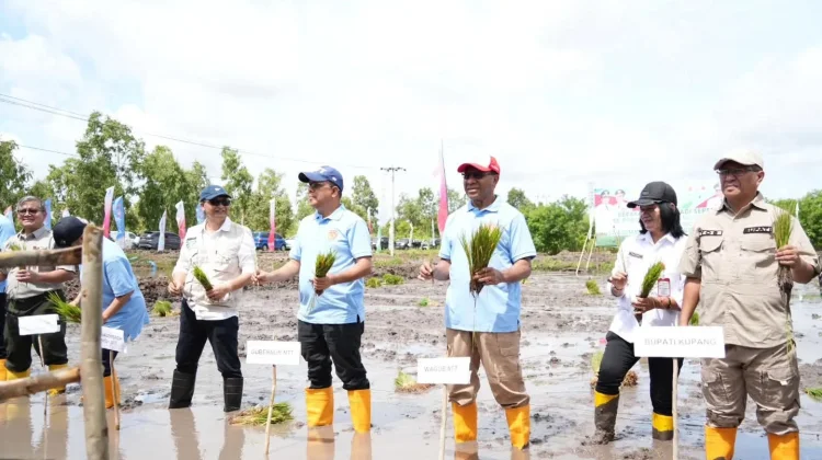 Pemerintah NTT Gelar GERTAM menuju Swasembada Pangan