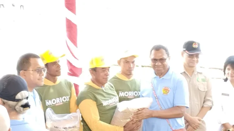 Wagub NTT Serahkan Bibit Padi Dukung Swasembada Pangan