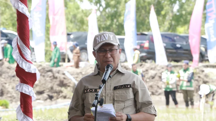 Bupati Kupang Targetkan Produksi Padi 100 Ribu Ton