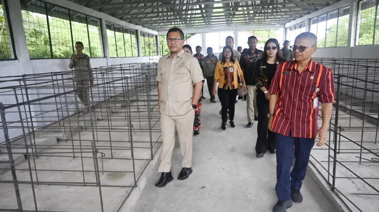 Bupati Kupang Tekankan Peningkatan Kualitas Ternak Babi