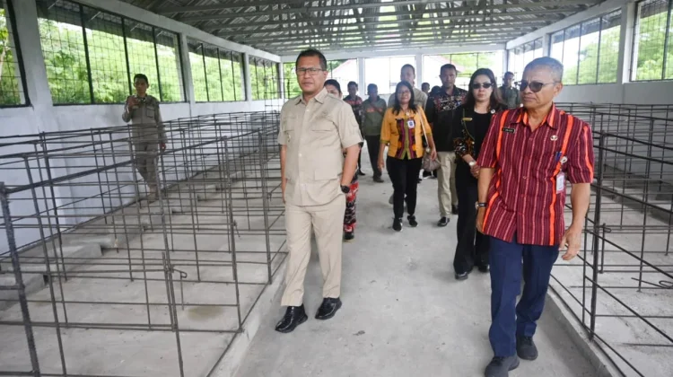 Bupati Kupang Dorong Operasional UPT Pembibitan Babi