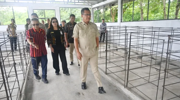 Pengembangan Bibit Babi Dorong PAD dan Kesejahteraan Peternak