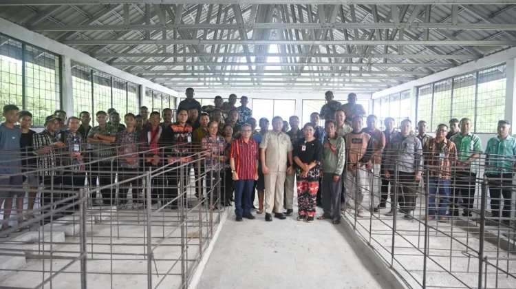 Bupati Kupang Instruksikan UPT Pembibitan Babi Segera Beroperasi