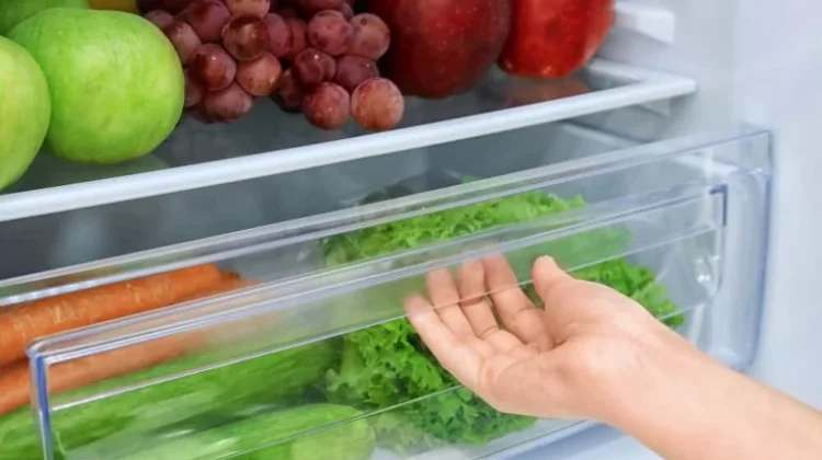 Tips Menyimpan Buah dan Sayuran agar Segar dan Tahan Lama