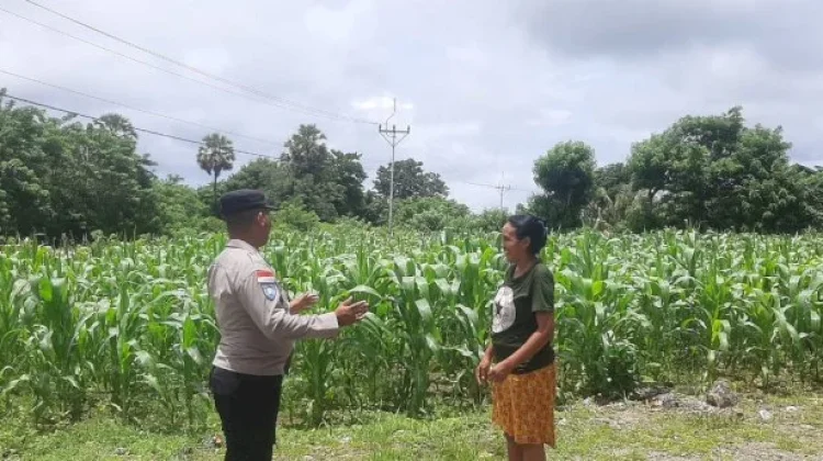Bhabinkamtibmas Semau Dorong Warga Tingkatkan Ketahanan Pangan