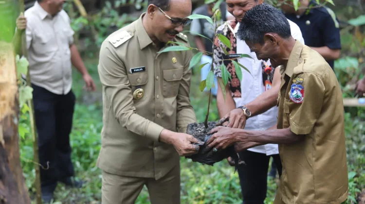 Pemkab Sumba Tengah Tanam Kopi Bersama Gapoktan