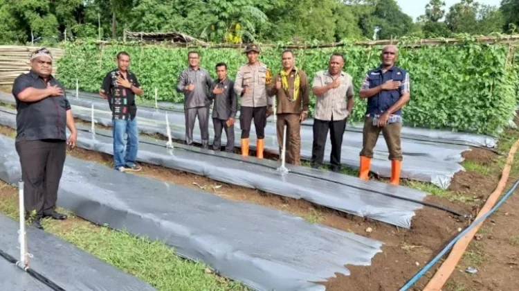 DPRD TTS Pantau Program Pekarangan Pangan Bergizi Kualin.
