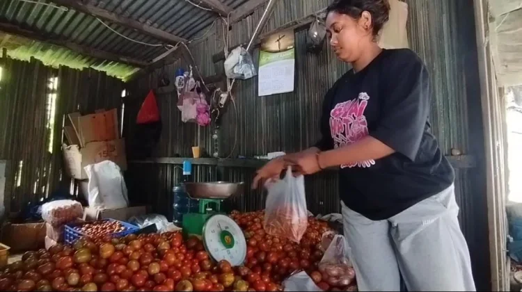 Jelang Lebaran, Harga Tomat Stabil