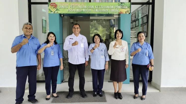 Pemerintah Provinsi Nusa Tenggara Timur Perkuat Sektor Pertanian Dengan Demo