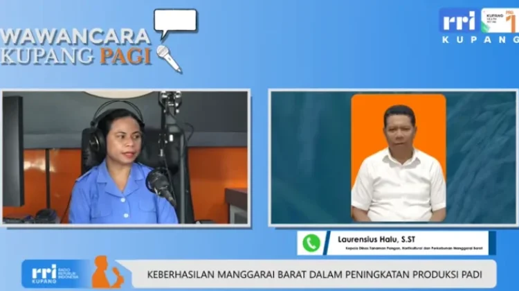 Manggarai Barat Catat Peningkatan Produksi Padi