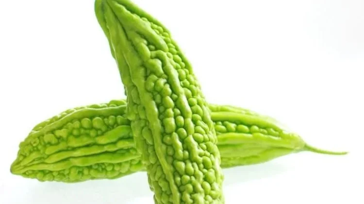 Manfaat Sayur Pare Untuk Kesehatan