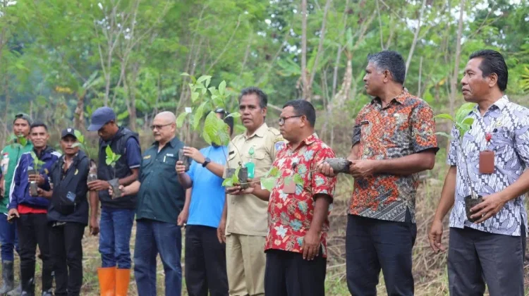 Gerakan Tanam Kopi Ubah Pola Tani Warga