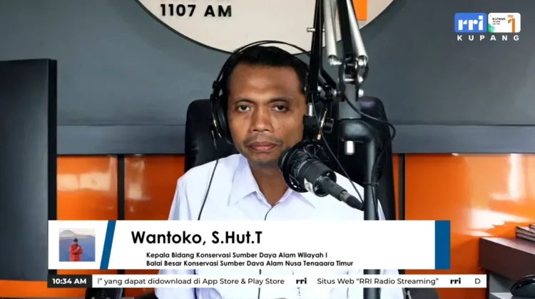 BKSDA NTT Berikan Klarifikasi Terkait Aksi Protes Masyarakat